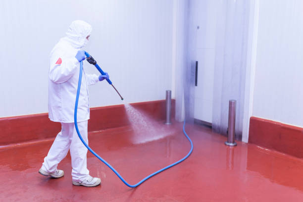 Best Residential Exterior Washing  in Brielle, NJ